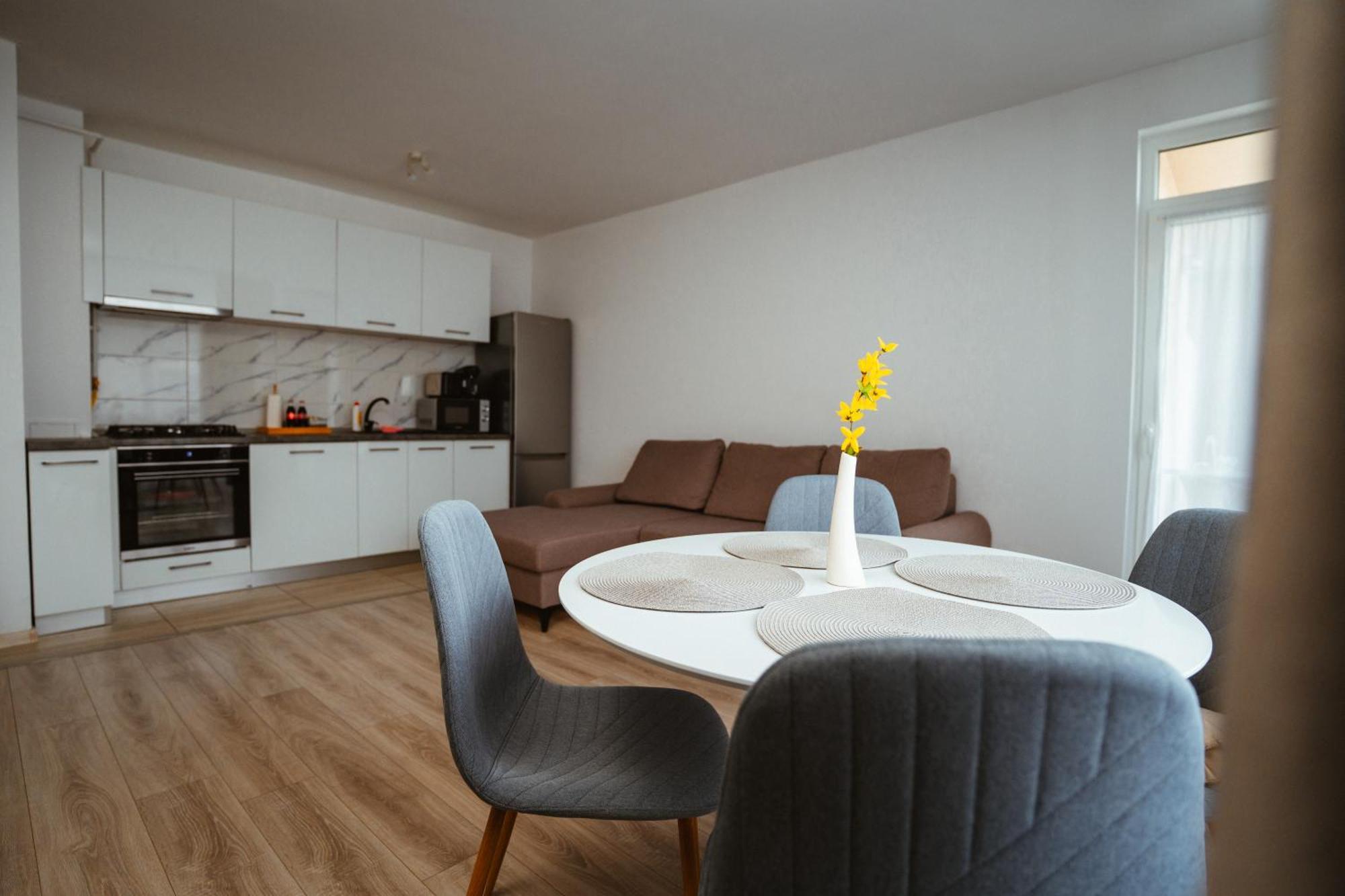 Maria'S Premium Suite Baia Mare Dış mekan fotoğraf