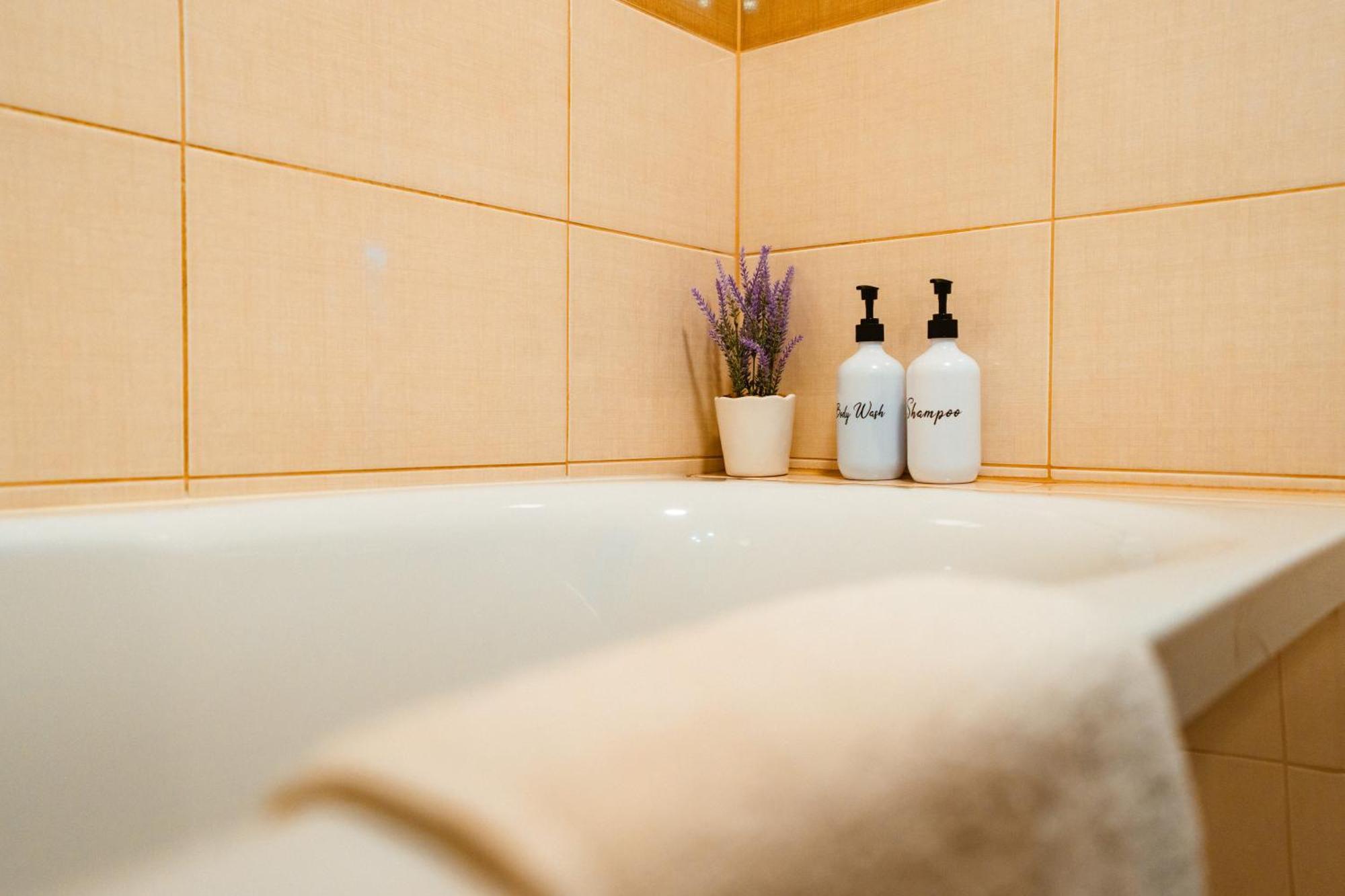 Maria'S Premium Suite Baia Mare Dış mekan fotoğraf